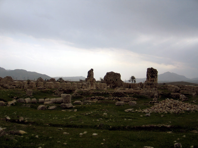 دیواریكی از كاخهای بیشاپور