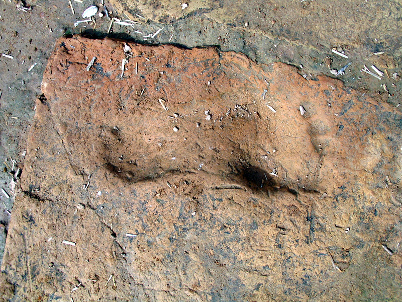 زیگورات چغازنبیل