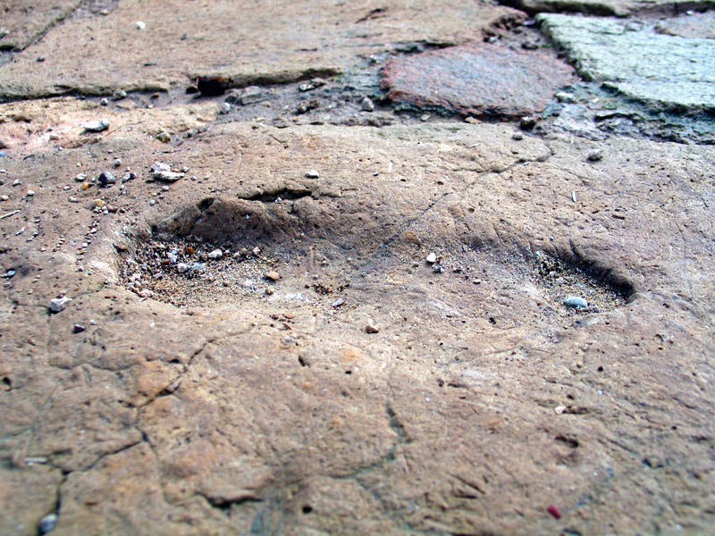 زیگورات چغازنبیل