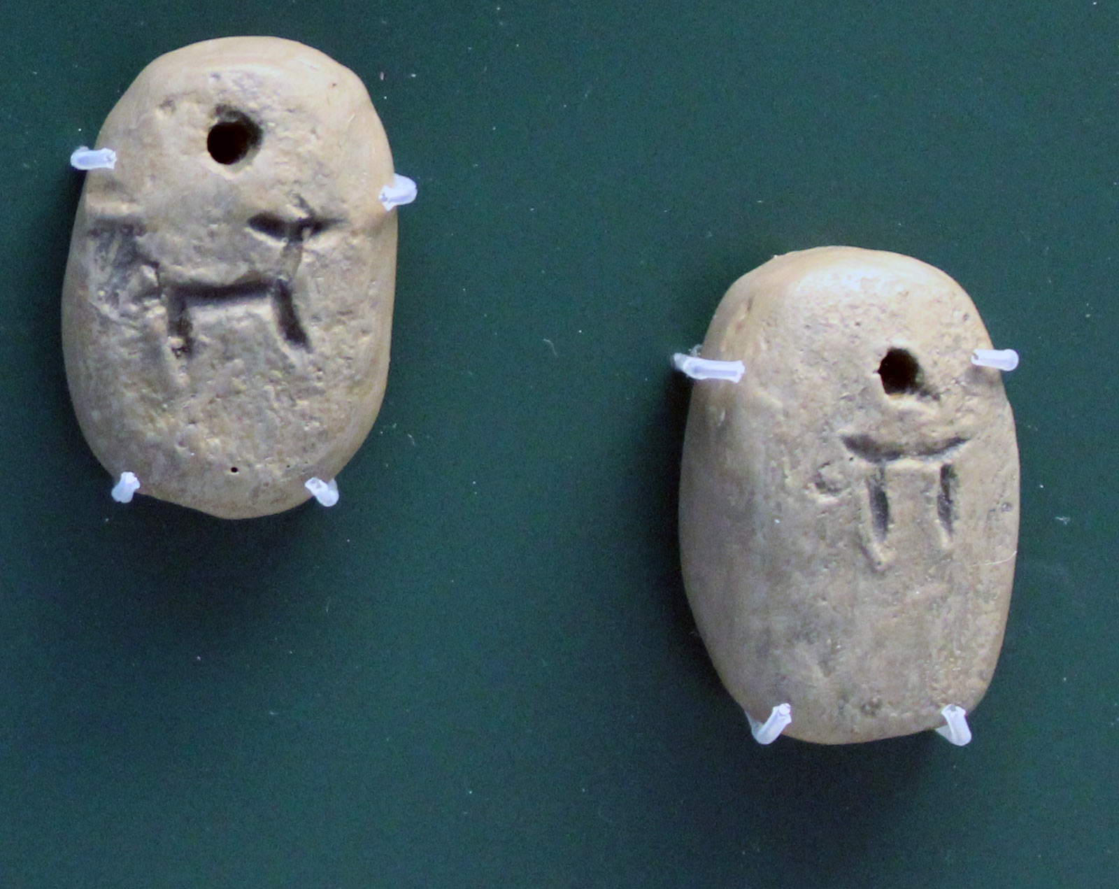 خط تصویری - تل براک