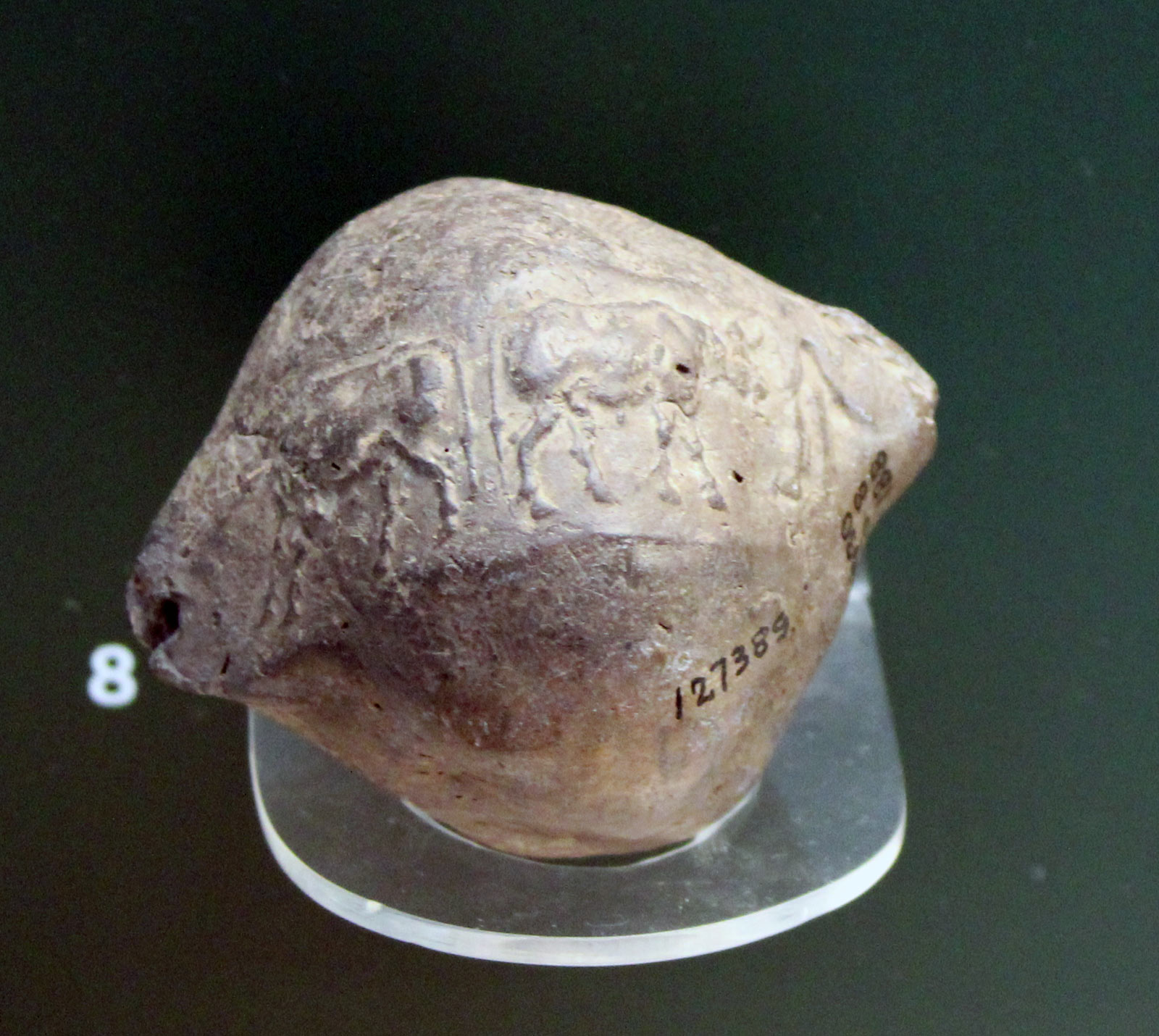 در یک ظرف به همراه اثر مهر