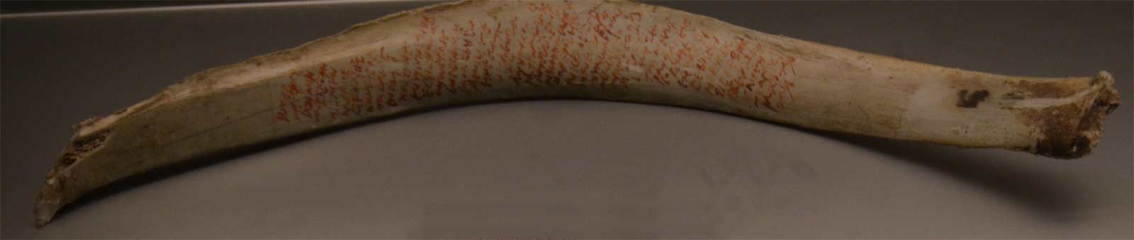 خط کوپتیک-قبطی مصر