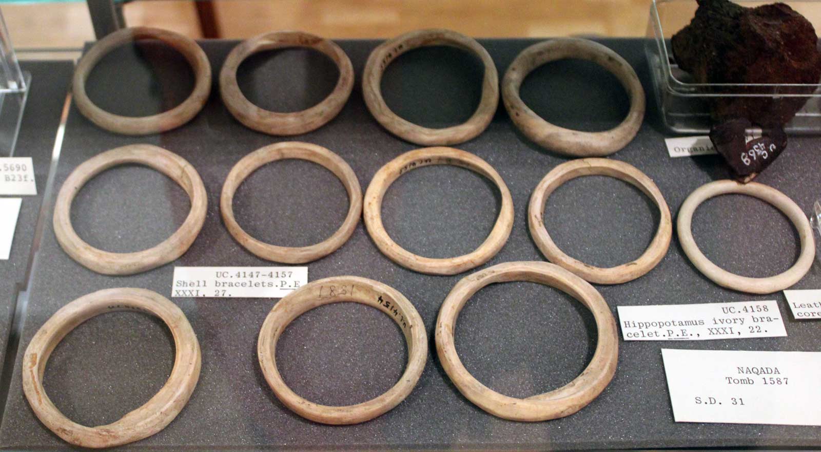 دست بند استخوانی 