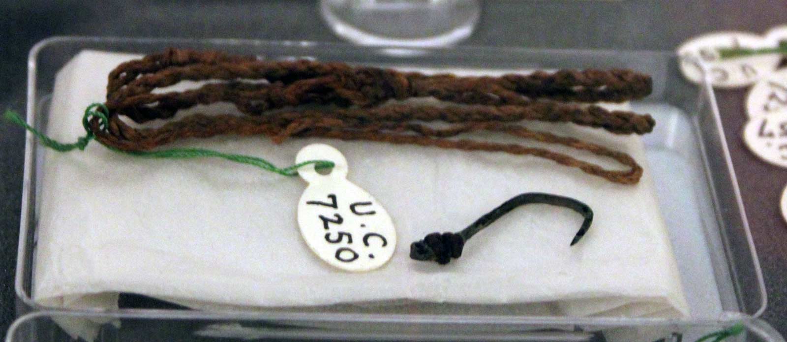 ماهیگیری در مصر باستان