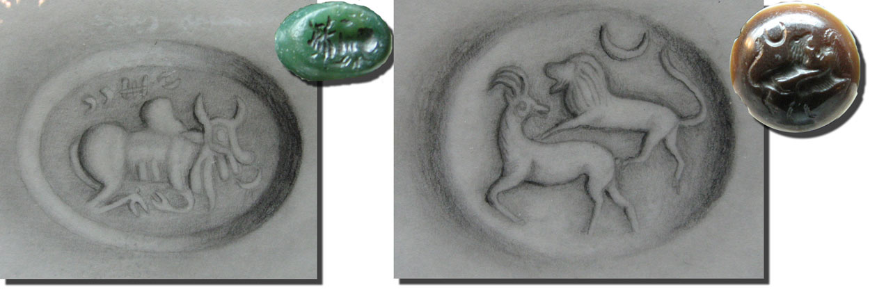 نبرد شیر و گاو