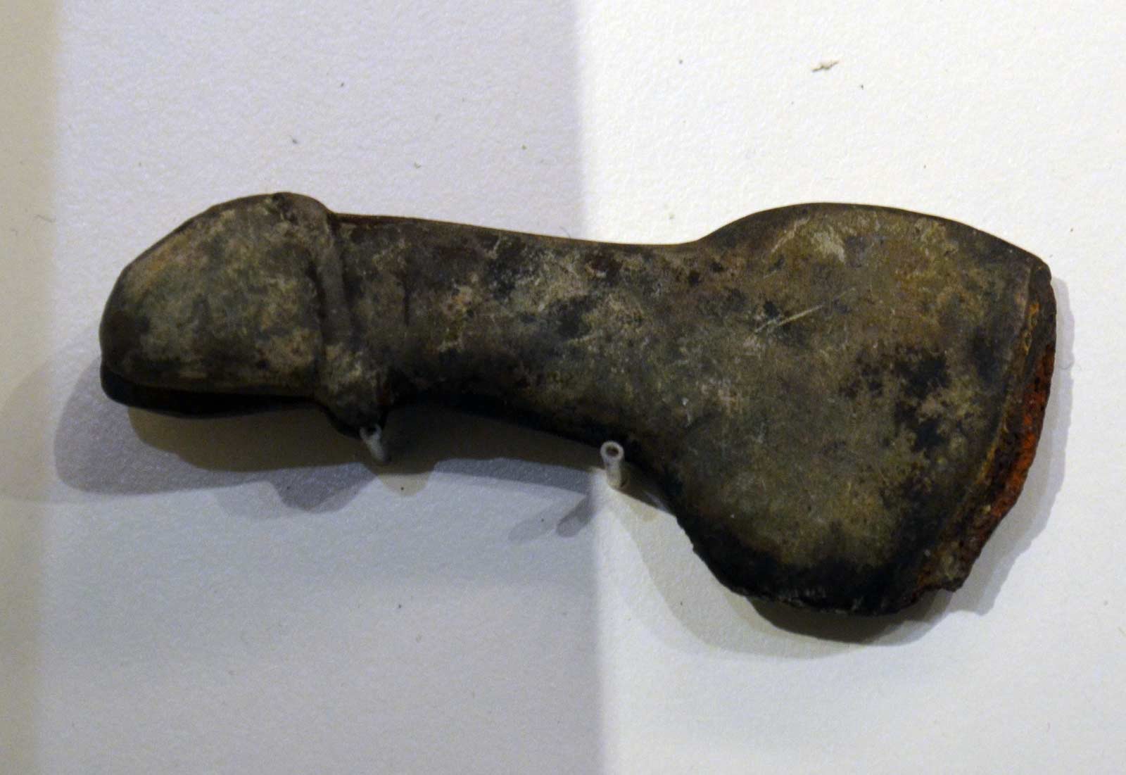 امولت آلت تناسلی