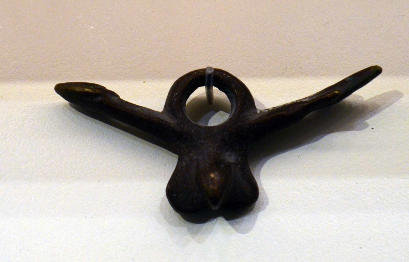 امولت آلت تناسلی