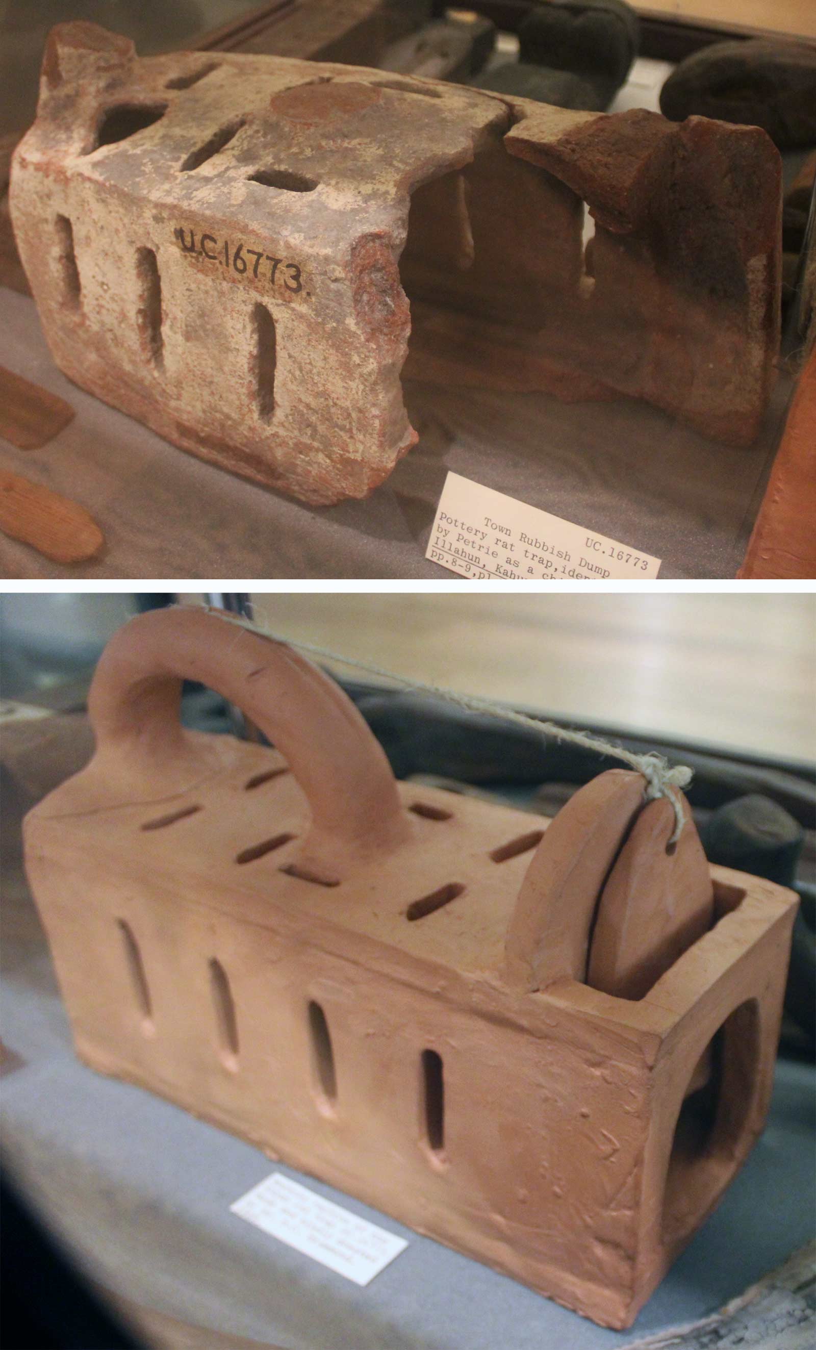 کفش چرمی
