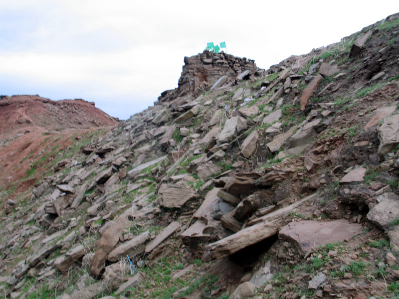 مسجد سلیمان 