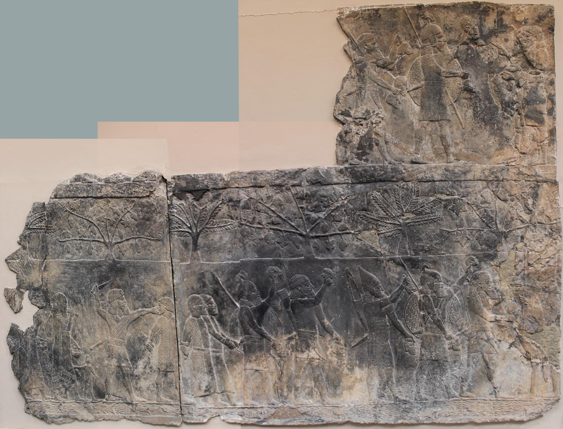 زندانیان آلامو