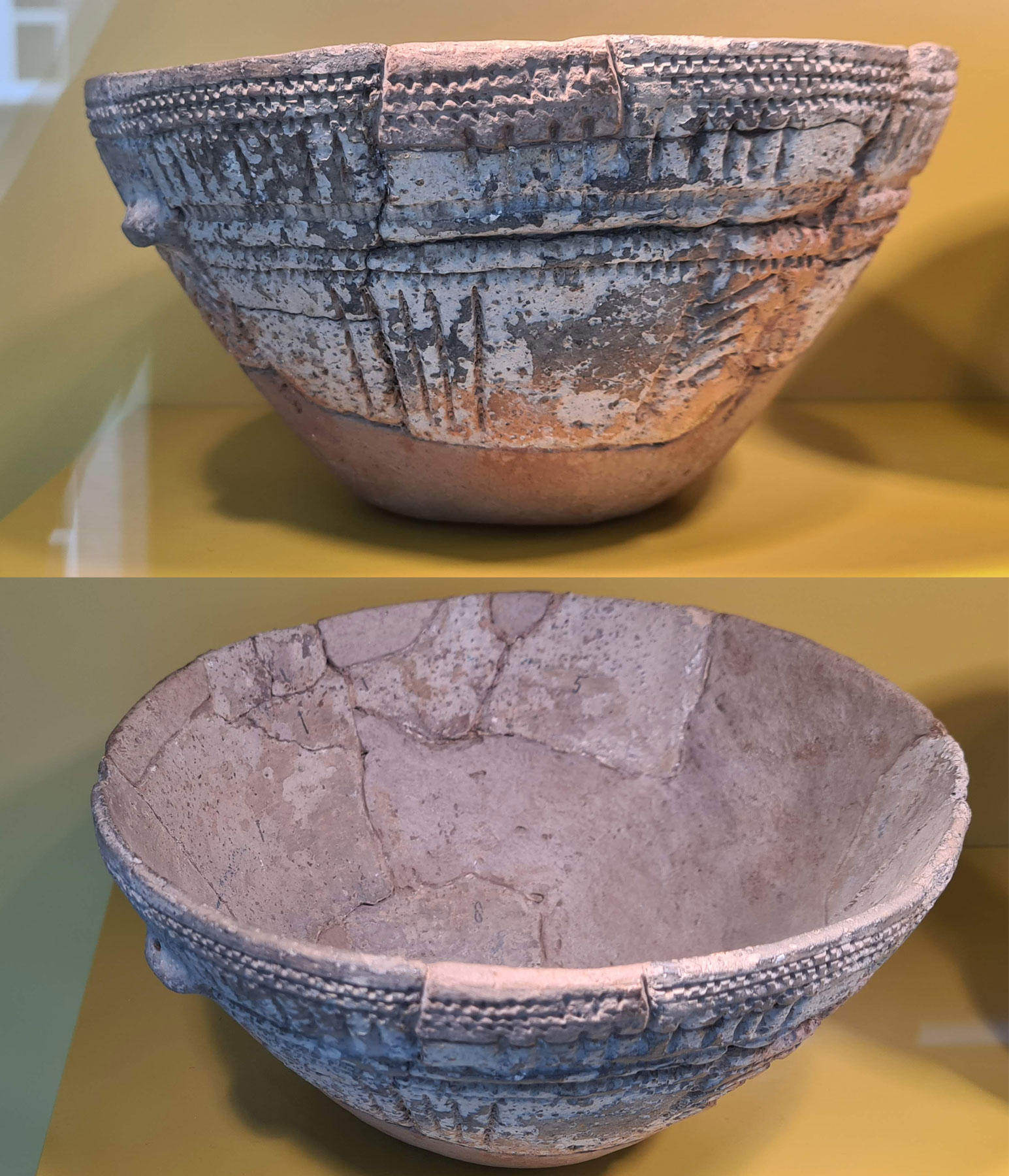 فرهنگ پیاله ناقوسی