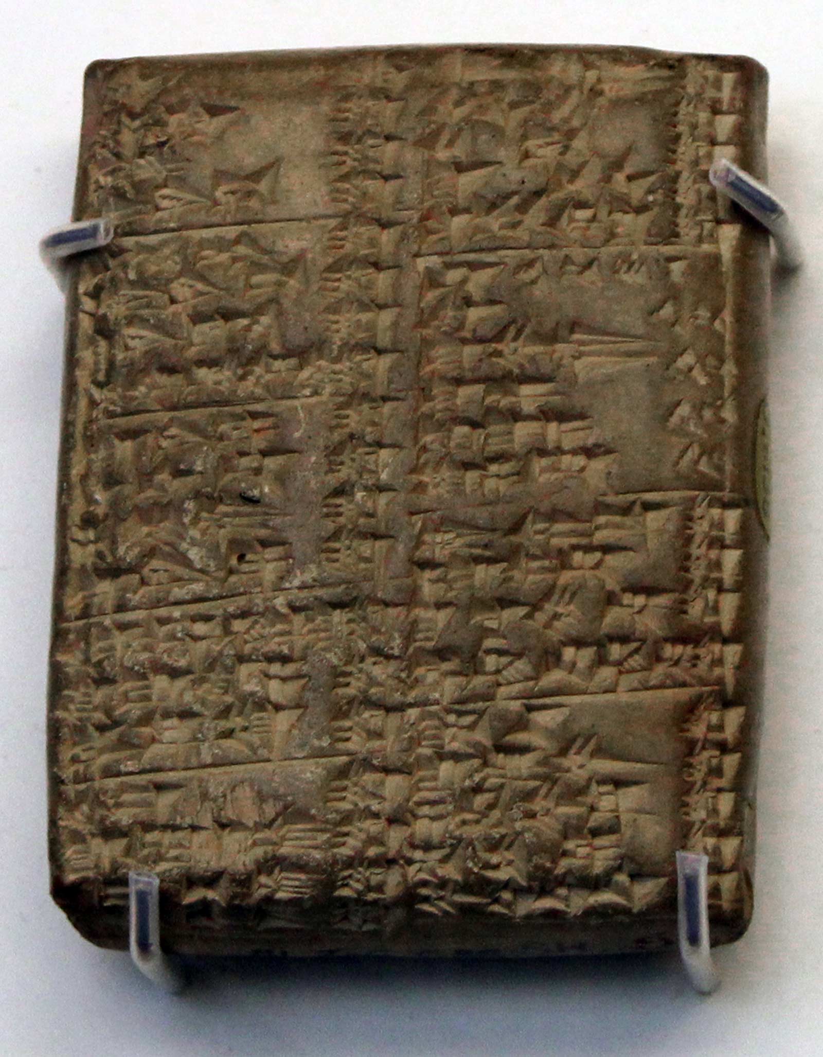 لیست سبزیجات