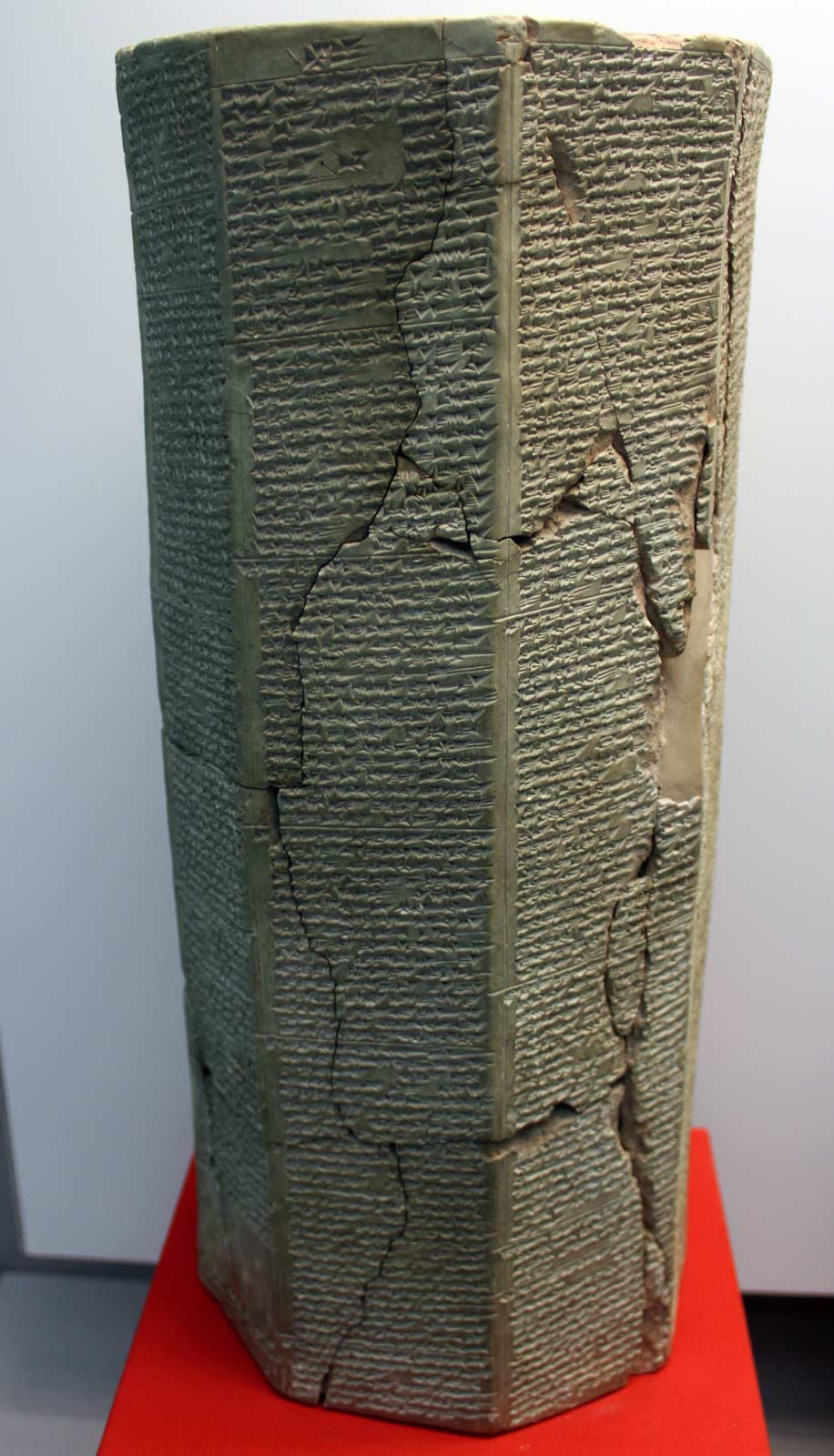 تیگلات پیلسراول