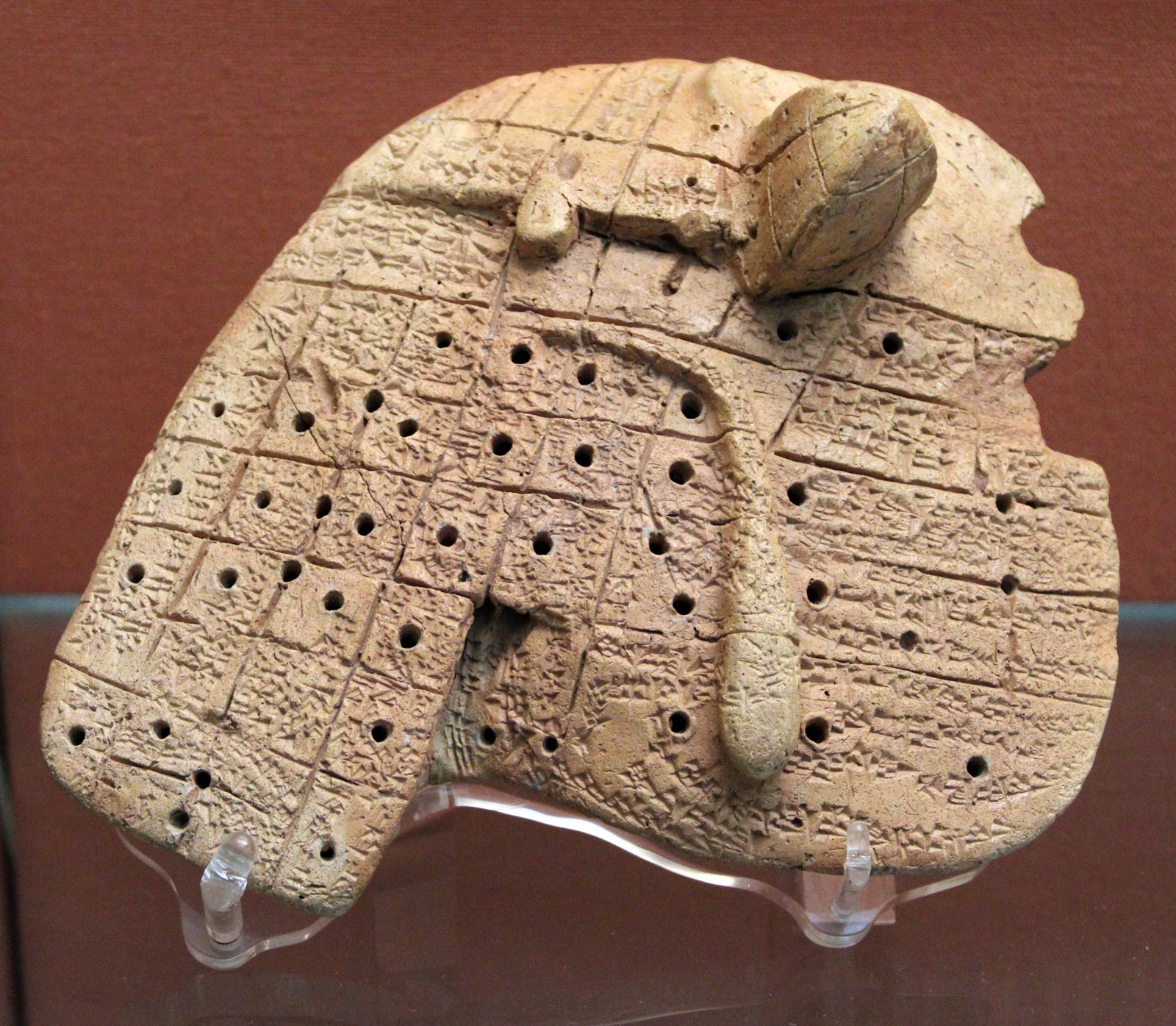 تحلیل جگر گوسفند