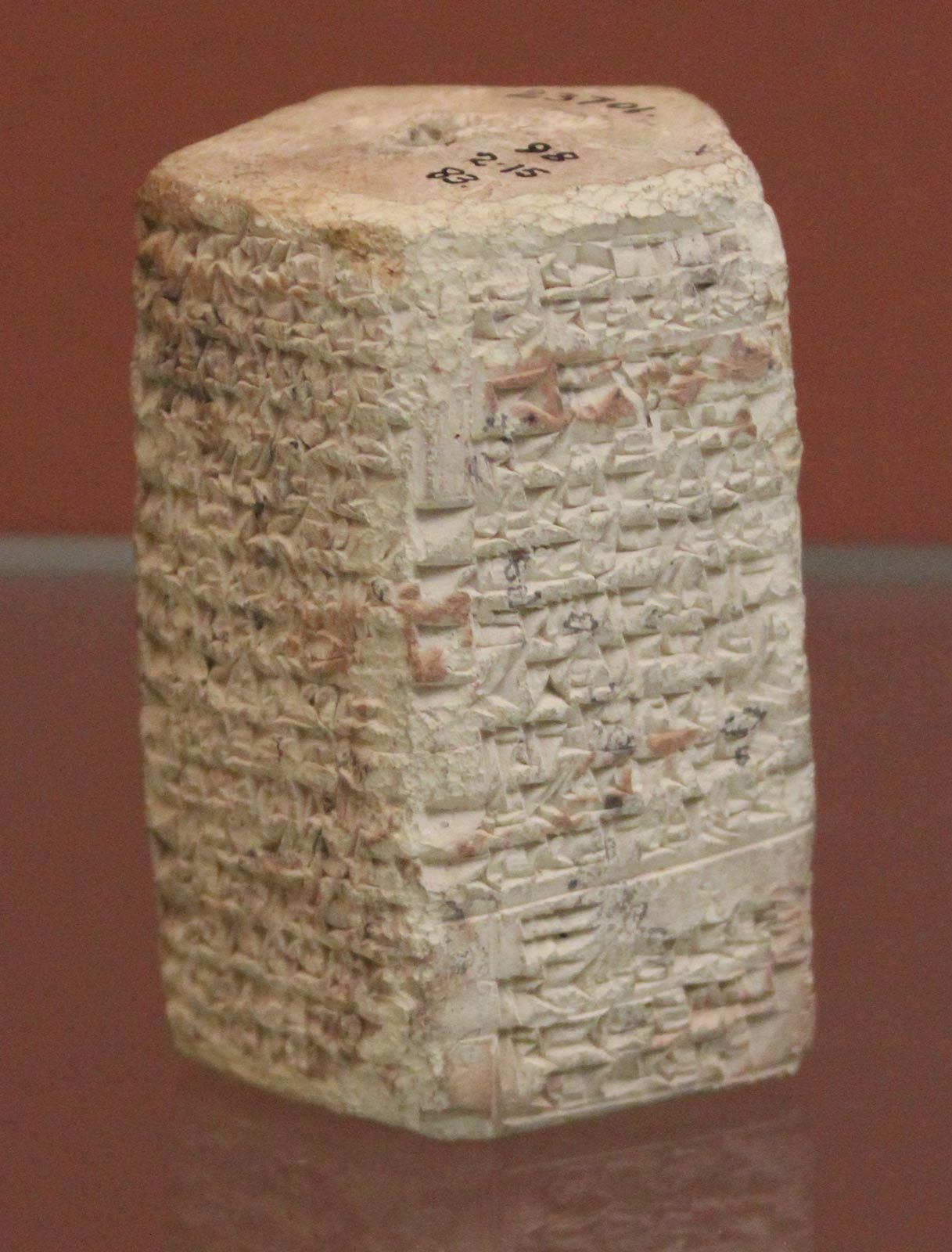 تحلیل جگر گوسفند