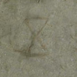 امضای سازندگان