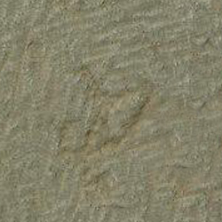 امضای سازندگان