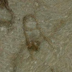 امضای سازندگان