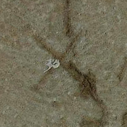 امضای سازندگان