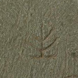 امضای سازندگان