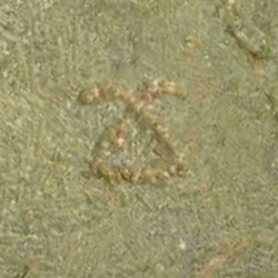 امضای سازندگان