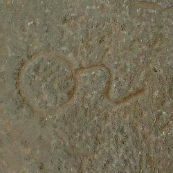 امضای سازندگان