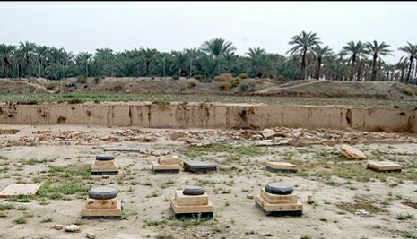 بردک سیاه