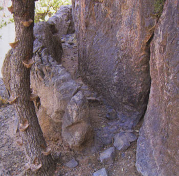 تنگ بولاغی