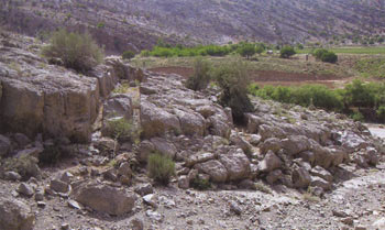 تنگ بولاغی