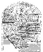 داریوش اول- کانال سوئز 