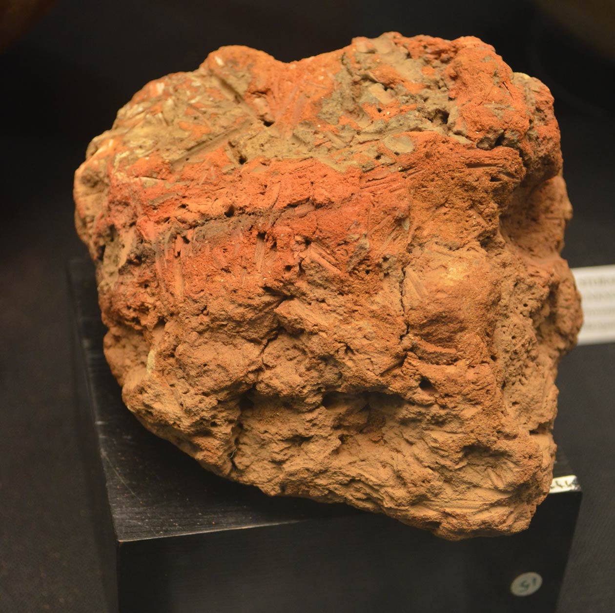 تل میچال فلسطین