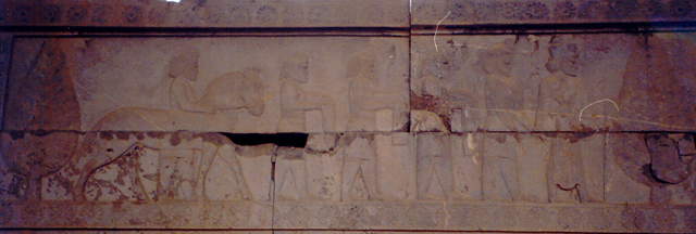  کاخ آپادانا تخت جمشید