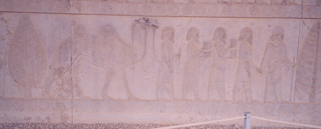  کاخ آپادانا تخت جمشید