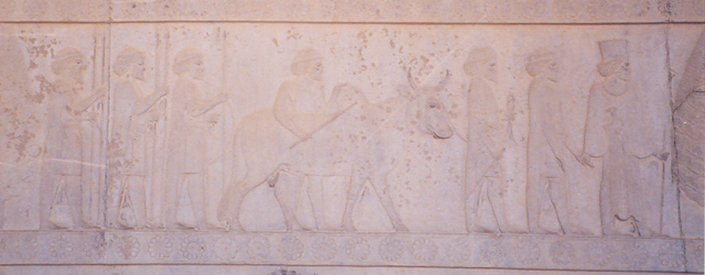  کاخ آپادانا تخت جمشید