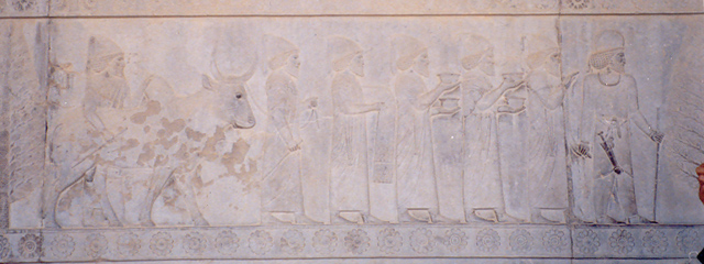  کاخ آپادانا تخت جمشید