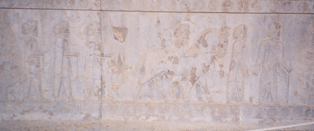  کاخ آپادانا تخت جمشید