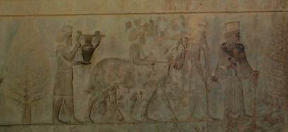  کاخ آپادانا تخت جمشید