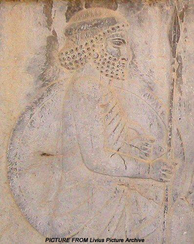  کاخ آپادانا تخت جمشید