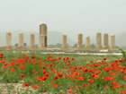 Pكاخ