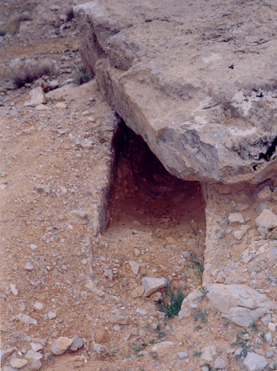  اطراف تخت جمشید