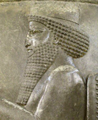 داریوش اول