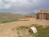 تپه زیویه