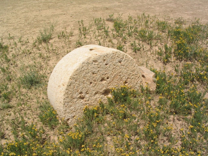 تپه زیویه