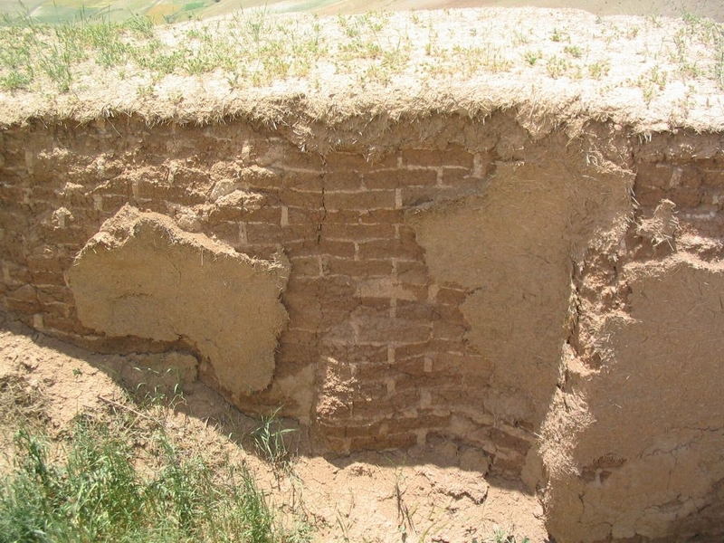تپه زیویه