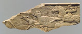 تپه زیویه