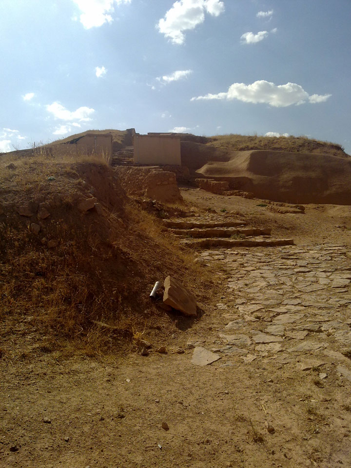 تپه زیویه