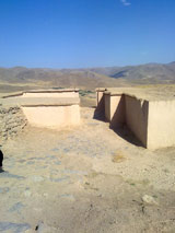 تپه زیویه