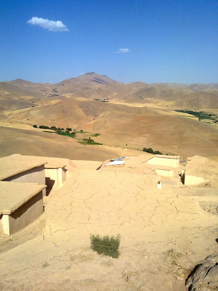 تپه زیویه