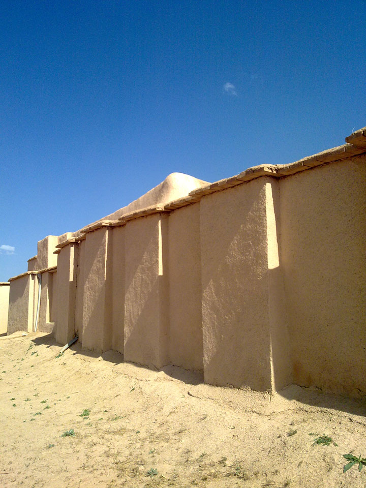 تپه زیویه