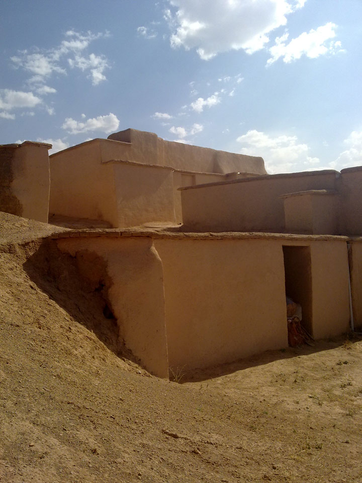 تپه زیویه